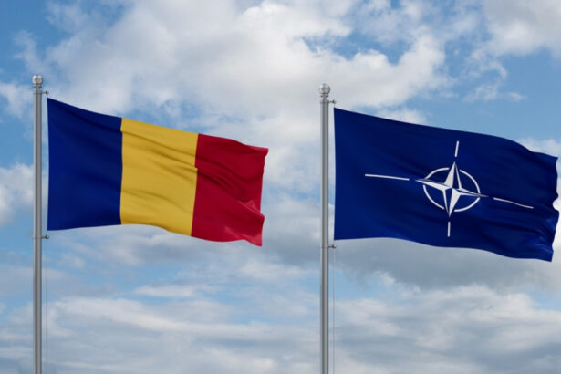 radu miruta spune ca aliatii au transmis un mesaj clar de solidaritate cu romania un partener serios responsabil si activ in nato 6a2997e26288a