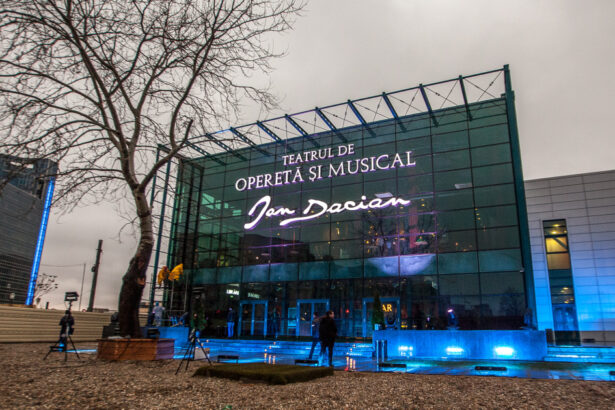 reactia ministerului culturii dupa o posibila situatie de hartuire sexuala si morala la teatrul de opereta ion dacian 6a2717fc9c15e