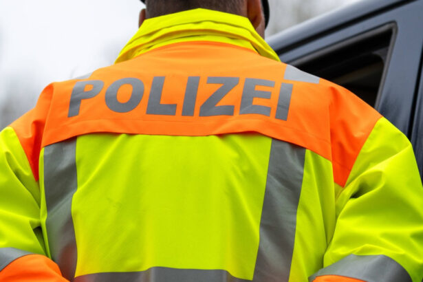 roman arestat in germania pentru ca voia sa declanseze un razboi terorist si sa instaureze un regim national socialist in romania 6a4393685c30c