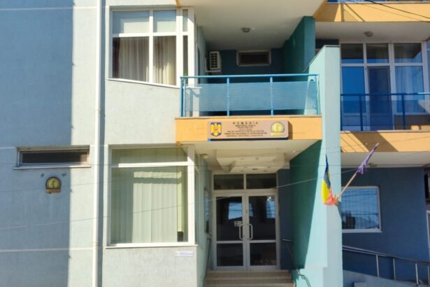 seful parchetului de pe langa judecatoria harsova numit procuror la dna 6a3150f3512fb