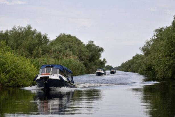 senatul a votat o lege care limiteaza la 5 km h viteza barcilor in delta dunarii ce amenzi risca cei care depasesc limita 6a1f248048b5e