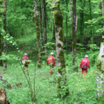 ursii si viperele coboara tot mai des pe traseele turistice recomandarile salvamont pentru cei care aleg muntele in vara 2026 6a26a7877c62a