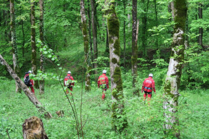 ursii si viperele coboara tot mai des pe traseele turistice recomandarile salvamont pentru cei care aleg muntele in vara 2026 6a26a7877c62a