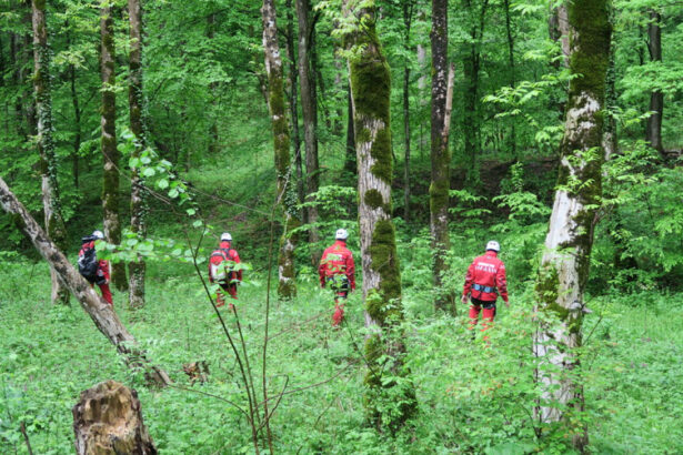 ursii si viperele coboara tot mai des pe traseele turistice recomandarile salvamont pentru cei care aleg muntele in vara 2026 6a26a7877c62a