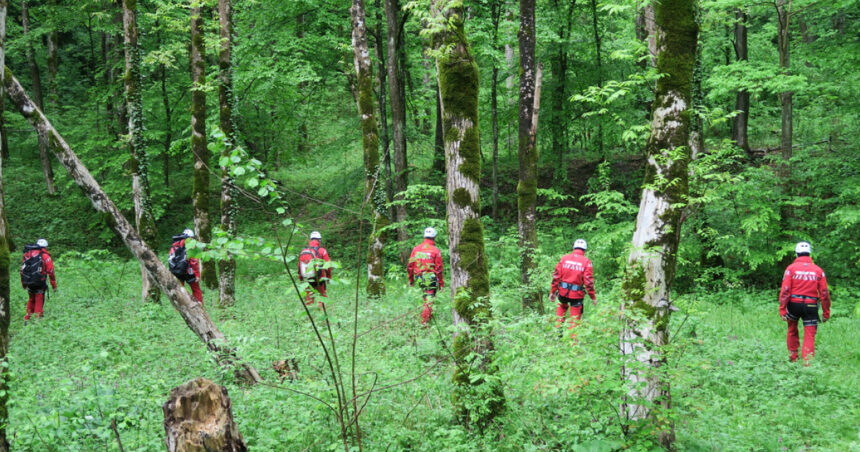 ursii si viperele coboara tot mai des pe traseele turistice recomandarile salvamont pentru cei care aleg muntele in vara 2026 6a26a7877c62a