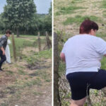 video amenda pentru o femeie care a abandonat sase pui de pisica pe un teren viran eee platesc 6a204f4608c7f