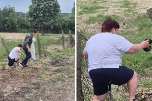video amenda pentru o femeie care a abandonat sase pui de pisica pe un teren viran eee platesc 6a204f4608c7f