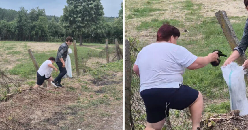 video amenda pentru o femeie care a abandonat sase pui de pisica pe un teren viran eee platesc 6a204f4608c7f