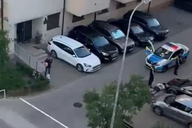 video panica intr un cartier din bucuresti doua clanuri rivale s au amenintat cu topoare si pistoale 6a3172c884737
