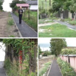 video paradox intr o comuna fara asfalt si canalizare piste de biciclete pe drumuri de pamant localnica am vacuta si merge pe piste 6a30cd8c7f42d