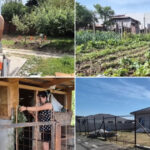 video romanii fug de agitatia oraselor sapte din 10 locuinte sunt construite la sat ce spun cei care s au mutat deja la tara 6a25284e41c47