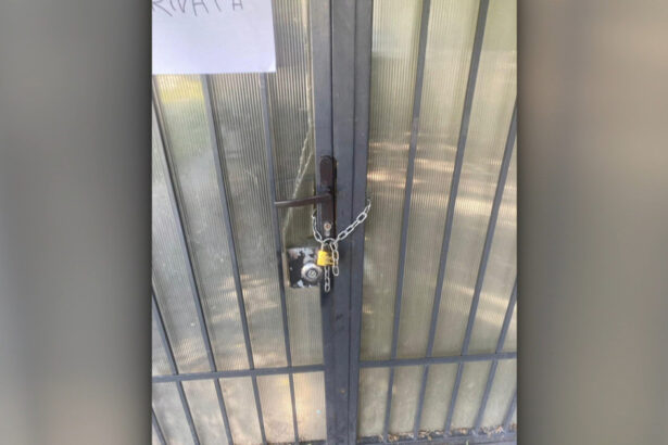 video situatie neobisnuita la craiova locatarii unui bloc trec prin magazin ca sa ajunga acasa un barbat a pus lacat pe poarta de acces 6a30ed331199a