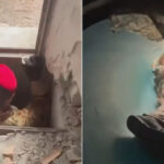 video tunel secret de 120 de metri descoperit in italia cum arata ruta subterana de fuga pregatita de mafie 6a215a7c02a7a