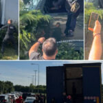 video un politist local i a dat cu spray lacrimogen si l a lovit cu picioarele pe soferul tir ului scapat de sub control in constanta 6a273eaa9d372