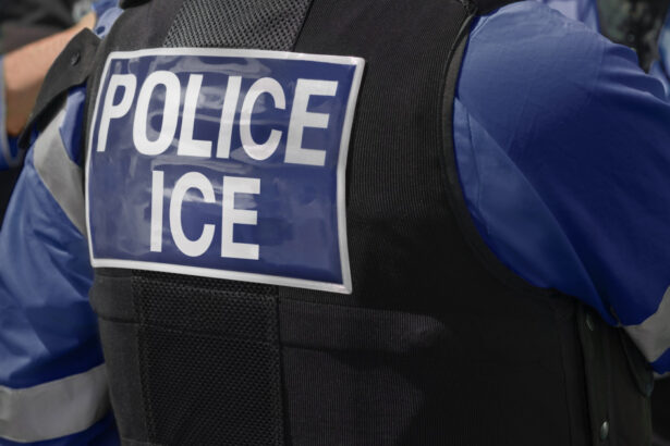administratia trump suspenda majoritatea controalelor ice in trafic dupa ce agentii au impuscat mortal doi migranti 6a5721a9c94fe