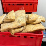amenzi de peste un milion de lei dupa controalele anpc la comerciantii de produse de origine animala ce nereguli au fost descoperite 6a4519a5c42ab