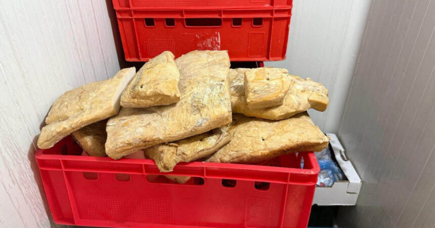 amenzi de peste un milion de lei dupa controalele anpc la comerciantii de produse de origine animala ce nereguli au fost descoperite 6a4519a5c42ab