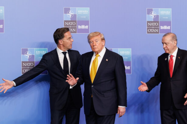 analiza nato a trecut cu bine la ankara peste o noua furtuna trump dar urmeaza alta revizuirea prezentei trupelor americane in europa 6a507895d8229