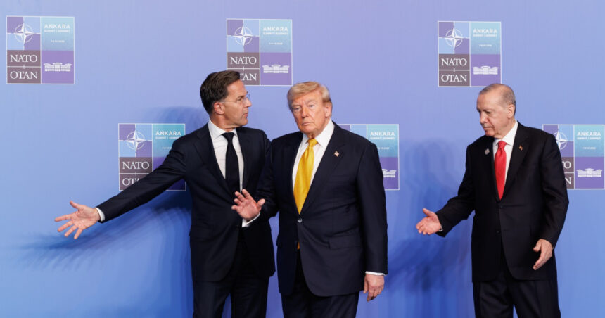 analiza nato a trecut cu bine la ankara peste o noua furtuna trump dar urmeaza alta revizuirea prezentei trupelor americane in europa 6a507895d8229