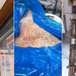 anpc a controlat peste 1 400 de companii si a dat amenzi de 4 milioane de lei saptamana aceasta principalele nereguli descoperite 6a63570ad81c8