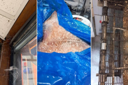 anpc a controlat peste 1 400 de companii si a dat amenzi de 4 milioane de lei saptamana aceasta principalele nereguli descoperite 6a63570ad81c8