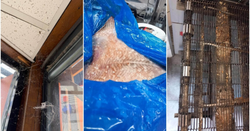 anpc a controlat peste 1 400 de companii si a dat amenzi de 4 milioane de lei saptamana aceasta principalele nereguli descoperite 6a63570ad81c8