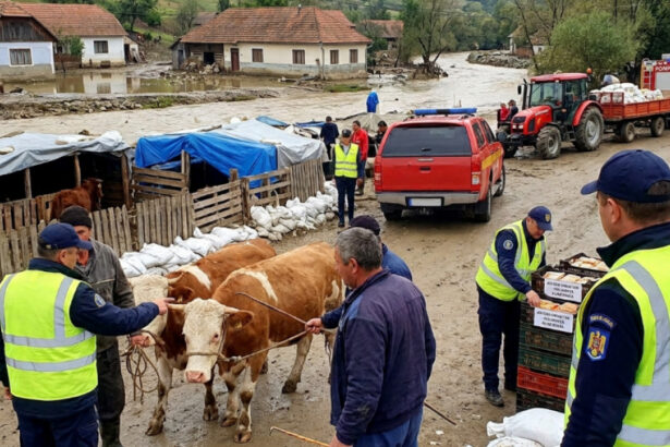 avertismentul ansvsa dupa inundatii pot aparea boli grave transmise de la animale la oameni ce recomandari au autoritatile 6a61d0cce39e4