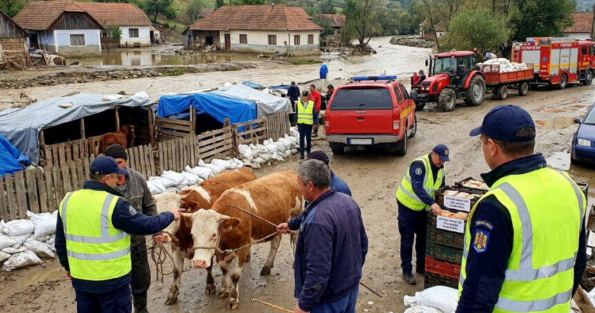 avertismentul ansvsa dupa inundatii pot aparea boli grave transmise de la animale la oameni ce recomandari au autoritatile 6a61d0cce39e4