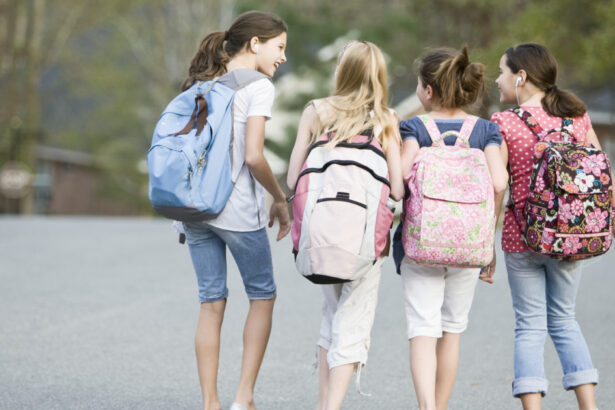 cand incepe anul scolar 2026 2027 calendarul complet al cursurilor si vacantelor schimbarile anuntate de ministerul educatiei 6a57090cef487
