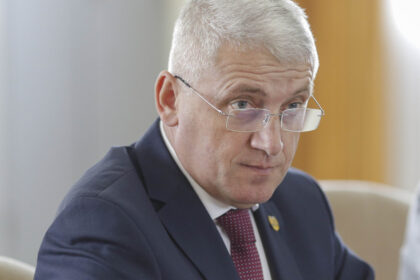 diana buzoianu acuza psd ca l a pus pe seful aep sa declare ca nu se pot face alegeri anticipate reactia institutiei 6a5640a902c4c