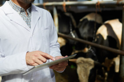 doua focare de rabie la bovine in neamt dsp cauta persoanele care au intrat in contact cu animalele infectate 6a4b7c6871562