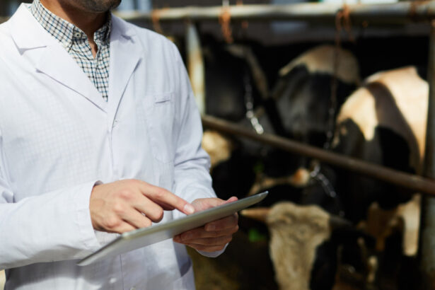 doua focare de rabie la bovine in neamt dsp cauta persoanele care au intrat in contact cu animalele infectate 6a4b7c6871562