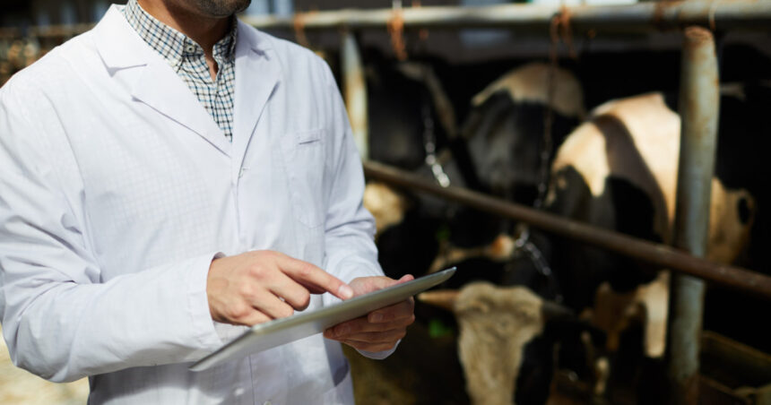 doua focare de rabie la bovine in neamt dsp cauta persoanele care au intrat in contact cu animalele infectate 6a4b7c6871562
