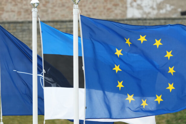 estonia construieste o noua baza militara la granita cu rusia pana la 1 000 de soldati vor fi desfasurati la narva 6a5264c099448