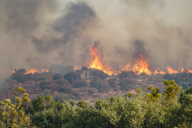 fumul incendiilor din canada sufoca nord estul sua new york in alerta din cauza calitatii aerului 6a5929f951f9b