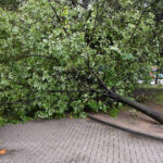 furtunile au lovit balcanii dupa valurile de canicula un mort mii de apeluri la urgenta si pagube in mai multe tari 6a60a5fb71807