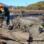 galerie foto pompierii romani noi interventii in franta autoritatile au mentinut codul rosu de risc de incendii 6a4f5bdc4cedd