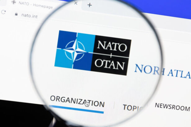 liderii nato au anuntat infiintarea bancii pentru aparare securitate si rezilienta romania se numara printre statele fondatoare 6a4d295595e49