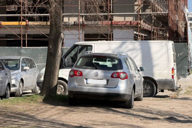 liderii usr constanta anunta ca nu sustin modificarea regulamentului parcarilor cateva observatii daca intr adevar sunt de partea cetatenilor 6a5ffeab261cb