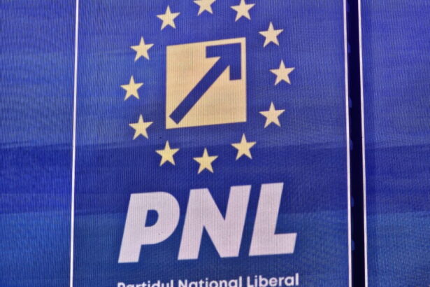 motivarea tribunalului bucuresti deciziile pnl de excludere a pucistilor au fost anulate pentru ca nu erau luate in acord cu statutul partidului 6a5576678c8ec