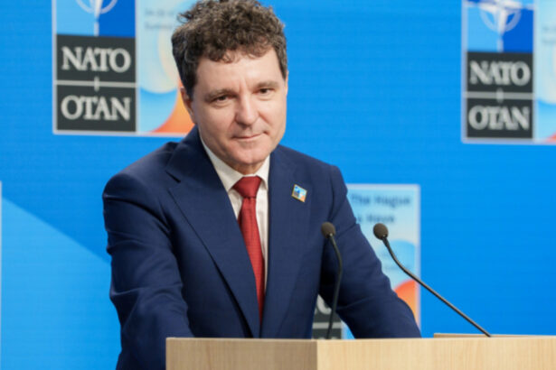 nicusor dan participa la summitul nato de la ankara ce mesaj va transmite despre ucraina si securitatea la marea neagra 6a4c95a8cb567