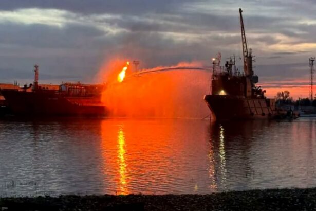 nicusor dan spune ca petrolierul care a luat foc in apropiere de sulina a fost lovit cel mai probabil in contextul razboiului pornit de rusia 6a5f168793f4a