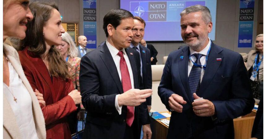 oana toiu romania este statul aliat cu cea mai mare granita cu razboiul din est ce solicita la summitul nato 6a4e22ec2b056