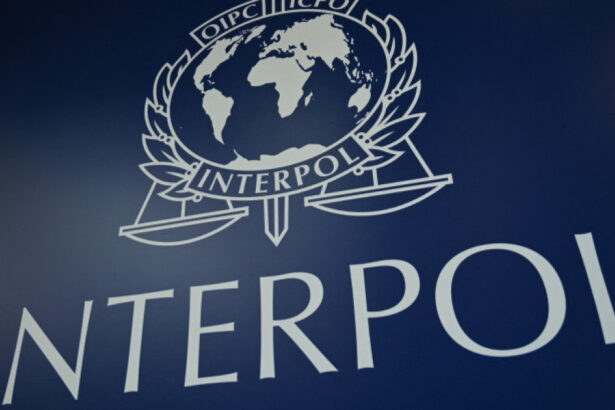 operatiune interpol in romania si alte 96 de state impotriva fraudelor bazate pe inginerie sociala peste 5 800 de persoane arestate 6a4fdde6bb379