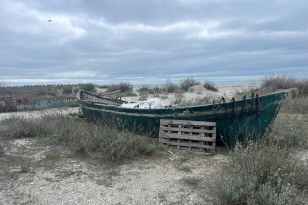 oportunitate pentru pescari doua ambarcatiuni scoase la licitatie de anaf constanta 6a4ad511e9475