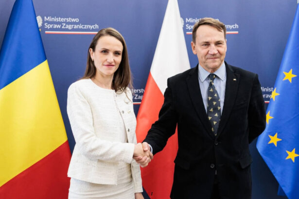 polonia mesaj de solidaritate cu romania oana toiu omologul meu mi a transmis condamnarea ferma fata de incursiunea dronelor rusesti 6a67ae1c72c87