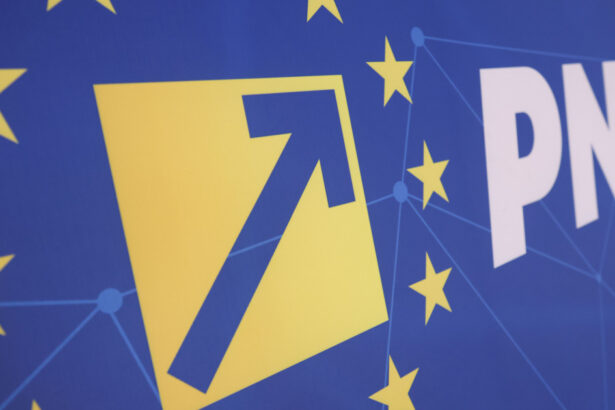 primul mesaj al pnl dupa ce social democratii au dat in judecata guvernul bolojan psd saboteaza practic romania 6a678ad391585