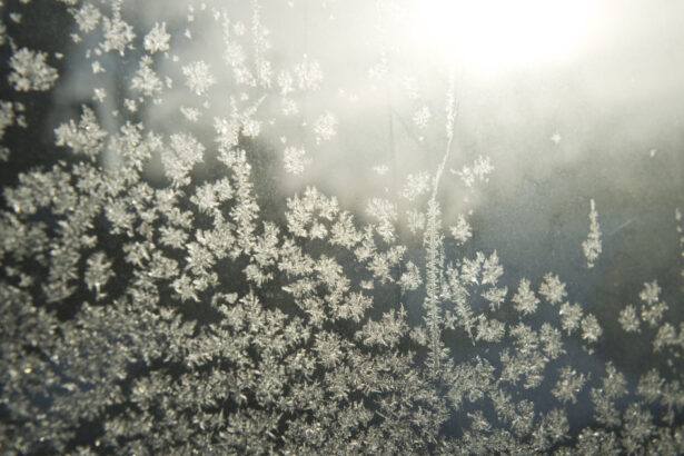 record de frig in ungaria cea mai scazuta temperatura din ultimii 64 de ani pentru aceasta perioada 6a4f5f57da8e4