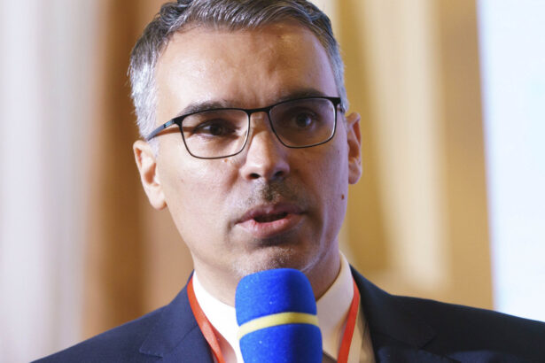 remus stefureac poate ca alegerile anticipate ar putea duce la o deblocare a situatiei poate ca nu cum ar arata noul parlament 6a56155678d84