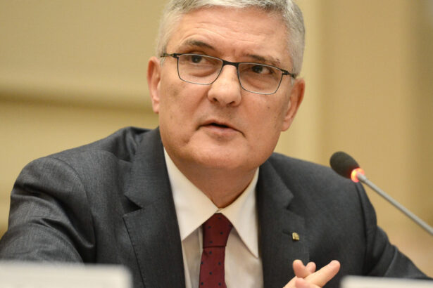 seful consiliului fiscal cresterea taxelor era inevitabila nu se putea fara majorari de impozite 6a57a03ce7322